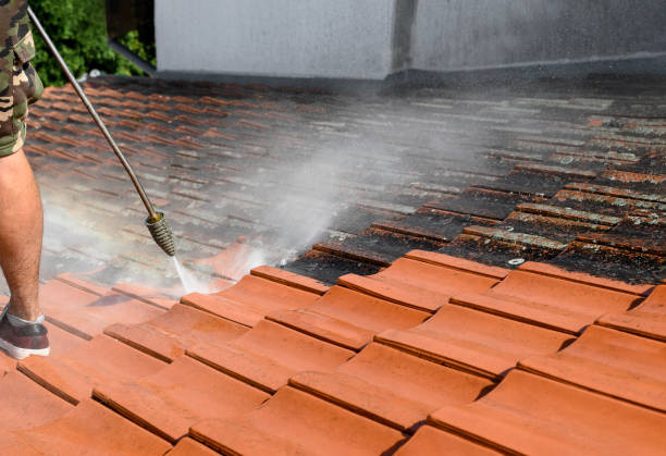 Best Pressure Washing Near Me  in Dillsboro, IN