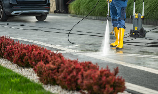 Best Roof Power Washing Services  in Dillsboro, IN