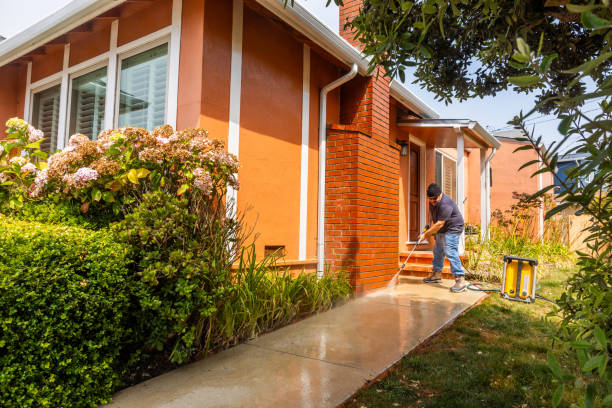 Best Pressure Washing Services Near Me  in Dillsboro, IN
