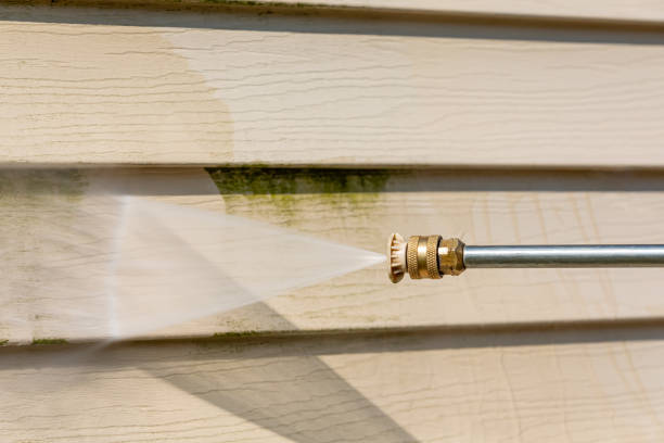 Best Local Pressure Washing Services  in Dillsboro, IN