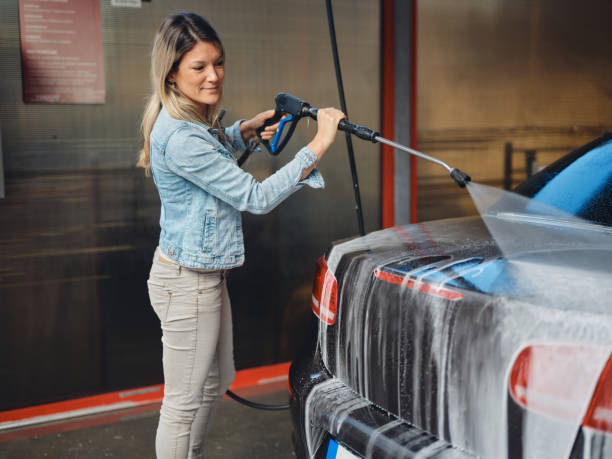 Best Affordable Power Washing  in Dillsboro, IN